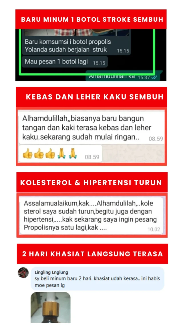 1751086538167-LP HP PENYUMBATAN DARAH (35)-min